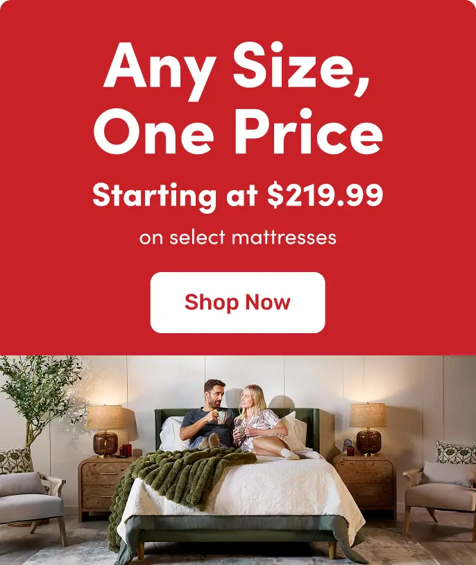 Promotional banner showing two people sitting on a bed beneath text advertising any size mattress starting at $219.99 on select mattresses with a Shop Now button.